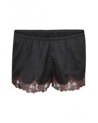 French Knickers - Schwarz/Braun - vergleichen und günstig kaufen