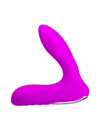 Leonard aufblasbarer Prostatavibrator - vergleichen und g&uuml;nstig kaufen