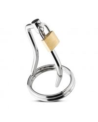 Peniskäfig mit Penisplug - vergleichen und günstig kaufen