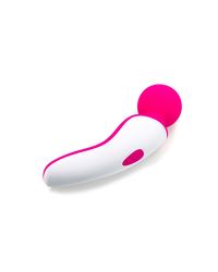 Vibrator Pink Lady 14 x 4 cm