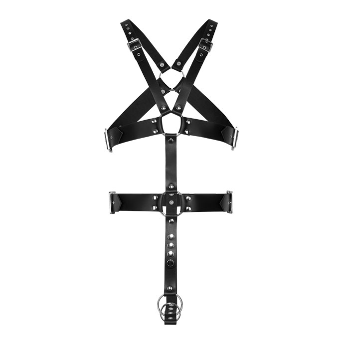 Geschirr mit Penis- und Hodenring - vergleichen und günstig kaufen Geschirr mit Penis- und Hodenring - vergleichen und günstig kaufen