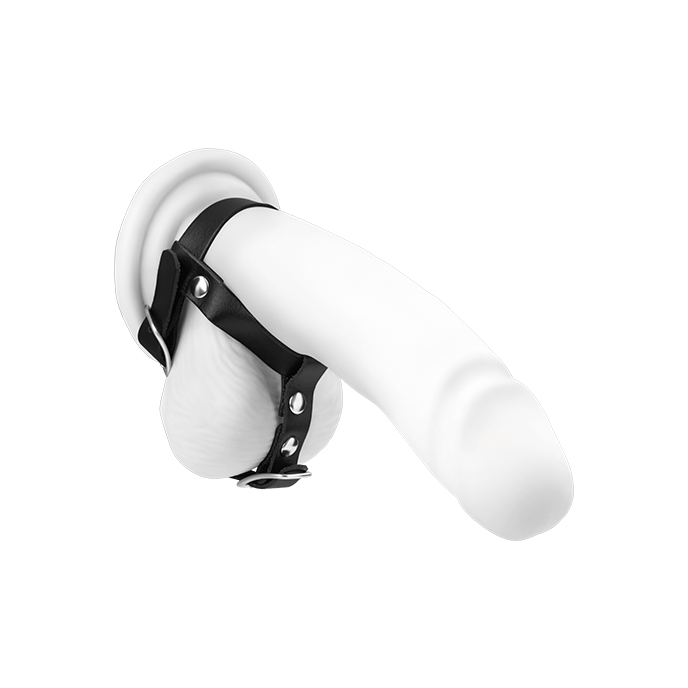 Leder-Penis-/Hodenriemen mit Hodenteiler + Schnalle, schwarz - vergleichen und g&uuml;nstig kaufen