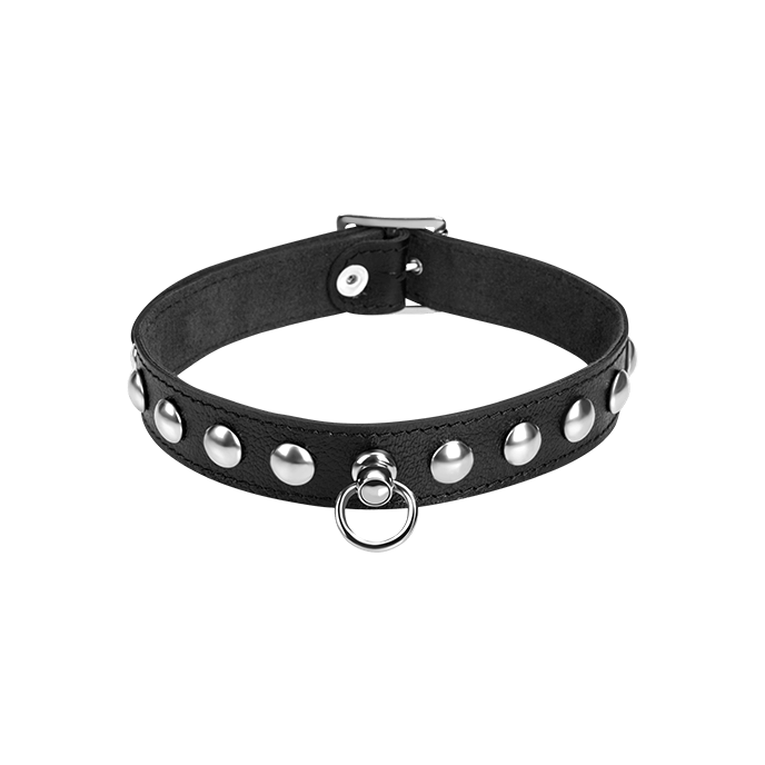 Leder-Halsband mit Rundnieten - vergleichen und g&uuml;nstig kaufen