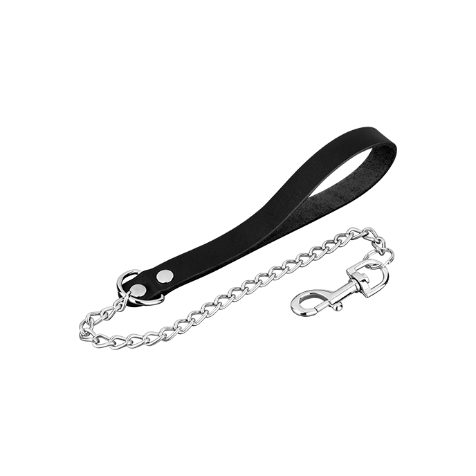 Leder-Führleine mit Metallkette - vergleichen und g&uuml;nstig kaufen