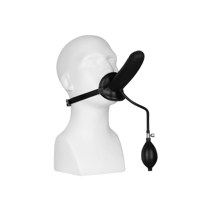 Aufblasbarer Mundknebel mit Dildo - vergleichen und g&uuml;nstig kaufen