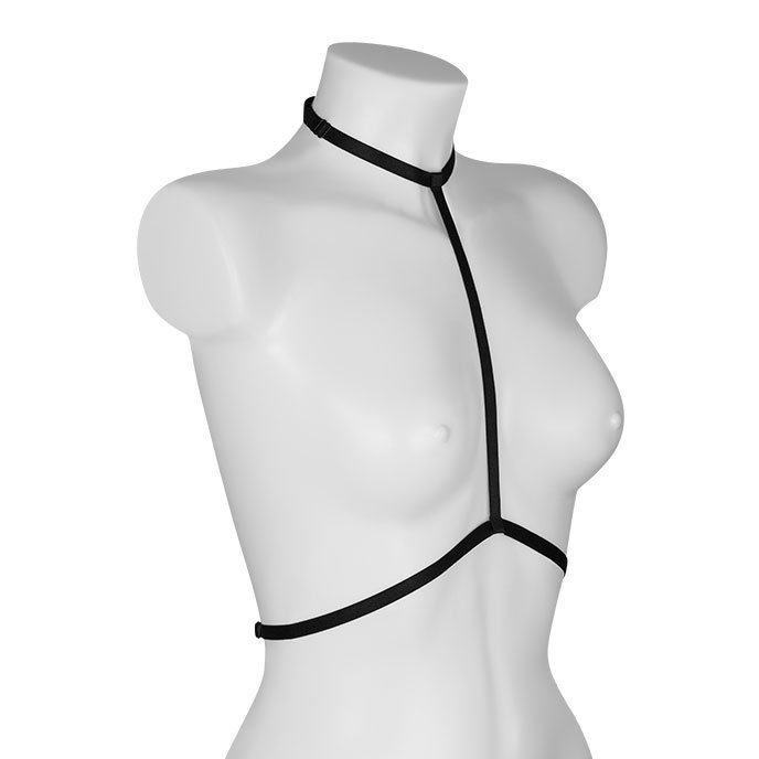 ?Anais - sexy Geschirr? - vergleichen und g&uuml;nstig kaufen