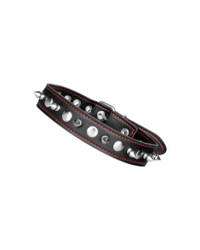 X-PLAY 'Spiked Collar' - vergleichen und günstig kaufen