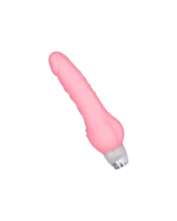 NS Novelties 'Vibrating Massager', 20 cm - vergleichen und günstig kaufen