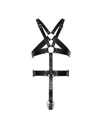 Geschirr mit Penis- und Hodenring - vergleichen und g&uuml;nstig kaufen