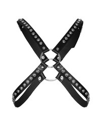 Ledergeschirr mit Nieten - vergleichen und g&uuml;nstig kaufen