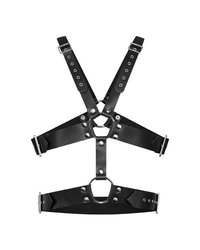 Ledergeschirr mit Schnallen - vergleichen und g&uuml;nstig kaufen