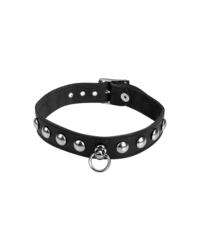 Leder-Halsband mit Rundnieten - vergleichen und g&uuml;nstig kaufen