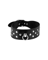 Breites Leder-Halsband mit Flachnieten - vergleichen und g&uuml;nstig kaufen