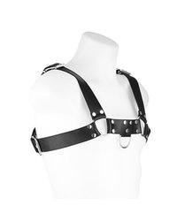 Bodyharness - vergleichen und g&uuml;nstig kaufen