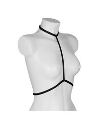 ?Anais - sexy Geschirr? - vergleichen und g&uuml;nstig kaufen