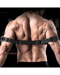 Sir Richards Command Bicep Binder: Oberarmfessel, schwarz