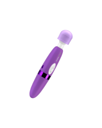 Bodywand 'Rechargeable Massager', 27 cm - vergleichen und günstig kaufen