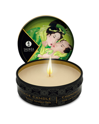 Shunga Massage Candle Green Tea - vergleichen und g&uuml;nstig kaufen