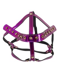Bad Kitty Kopfgeschirr, fuchsia/metallic