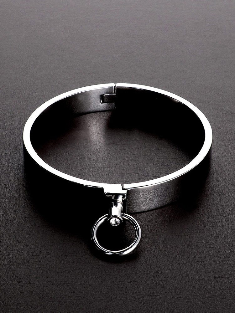 Triune Classy Slave Collar: Edelstahl-Halsfessel - vergleichen und g&uuml;nstig kaufen
