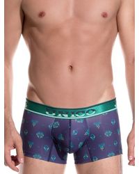 Unico: Mini Boxer Hornpipe - vergleichen und günstig kaufen