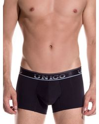 Unico: Mini Boxer National - vergleichen und günstig kaufen