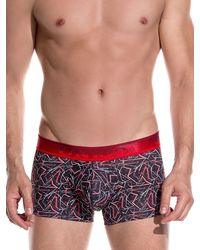 Unico: Mini Boxer Cognitivo - vergleichen und günstig kaufen