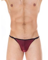 L?Homme Janus: Stripstring, bordeaux - vergleichen und g&uuml;nstig kaufen