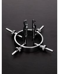 Triune The Hole Ring Speculum: Edelstahl-Analdehner - vergleichen und günstig kaufen
