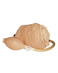 Wet-Dreams Masturbator - vergleichen und g&uuml;nstig kaufen