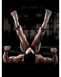 Sir Richards 'Hogtie und Collar Set', 7 Teile