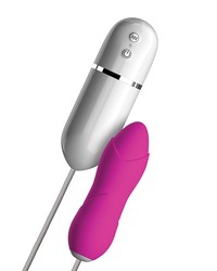 Pipedream 'Blossom', 10 cm