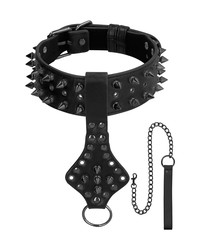 Ouch! Skulls and Bones Deluxe Spiked Collar with Leash: Halsfessel mit Führle... - vergleichen und g&uuml;nstig kaufen