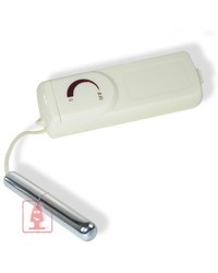 Silvia Saint Little Secret: Minivibrator, silber