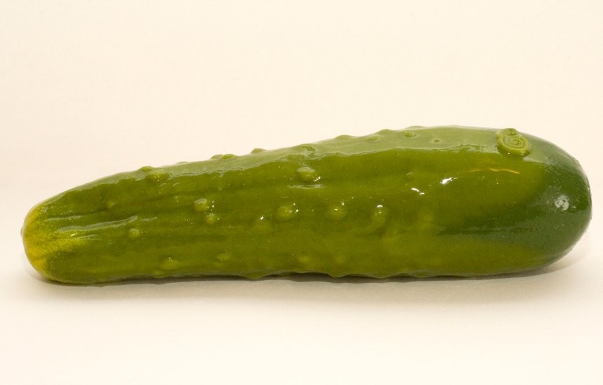 SelfDelve Gartengurke - vergleichen und g&uuml;nstig kaufen