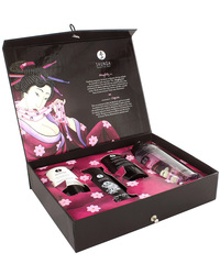 Shunga Naughty Kit - vergleichen und günstig kaufen